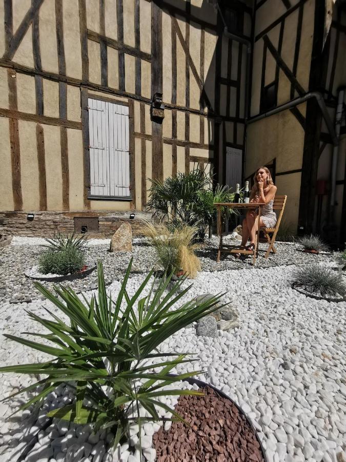 Le Chat De La Cathedrale - Calme - Jardin - Wifi Troyes Eksteriør bilde