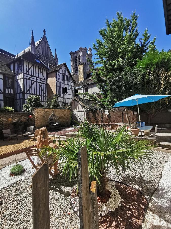 Le Chat De La Cathedrale - Calme - Jardin - Wifi Troyes Eksteriør bilde